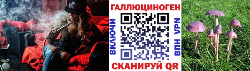 Галлюциногенные грибы Psilocybe  как найти закладки  Благодарный 
